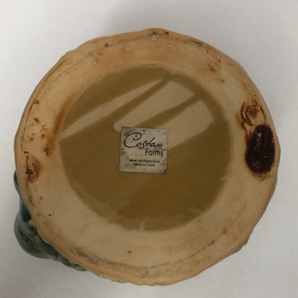 Vintage Costa Farms Bamboo Turtle Planter - Picture 9 of 12